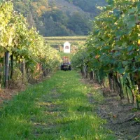 camping-stumpfer-schnbhel-zbetn
