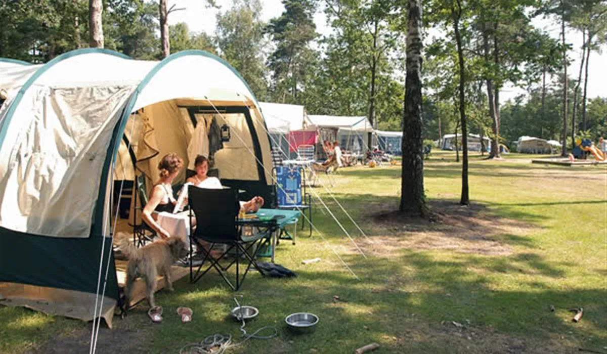 camping-het-lierderholt-beekbergen-fehyv