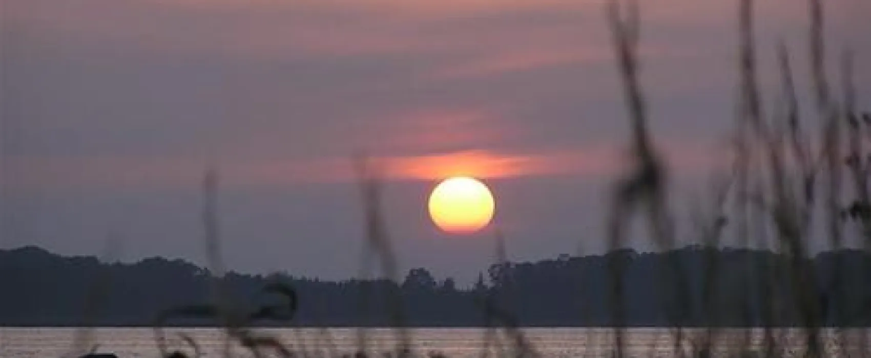 Roskilde Camping