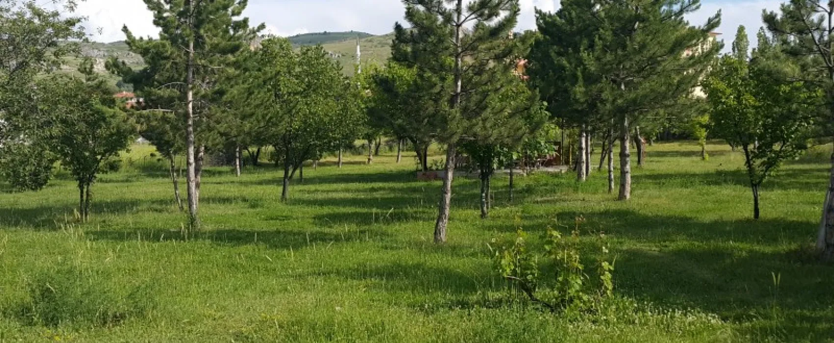 Asikoglu Tourist Camp