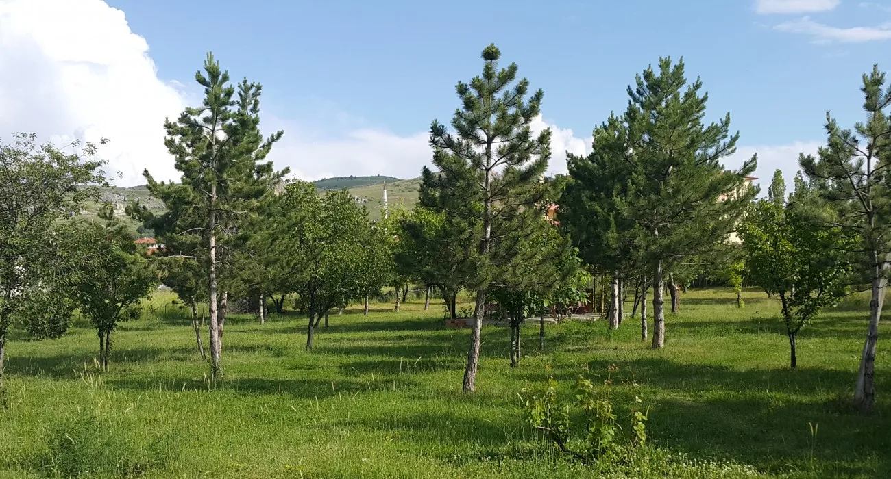 asikoglu-tourist-camp-bogazkale-okudv