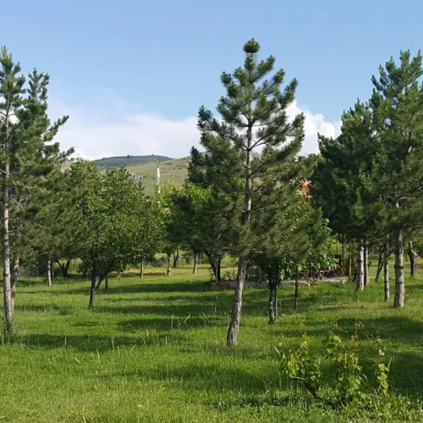 asikoglu-tourist-camp-bogazkale-okudv