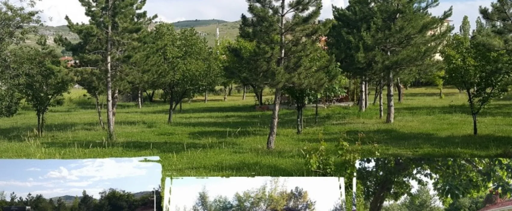 Asikoglu Tourist Camp