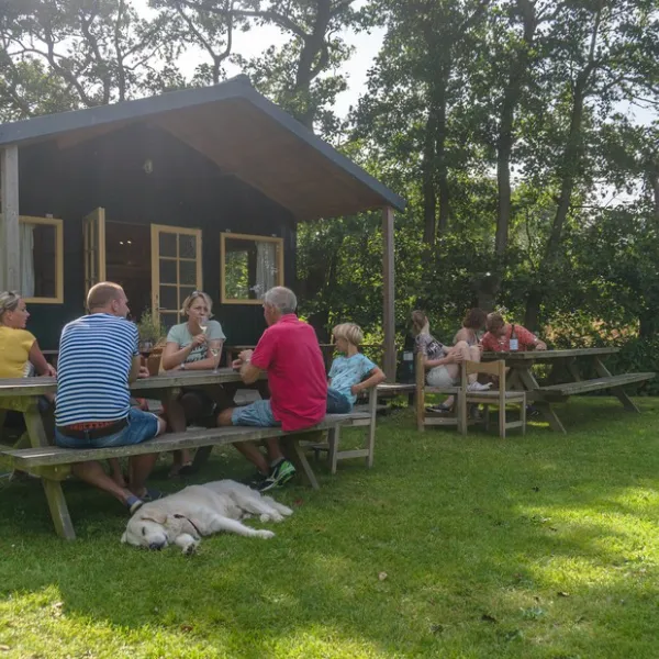 Camping Zuiderhorn