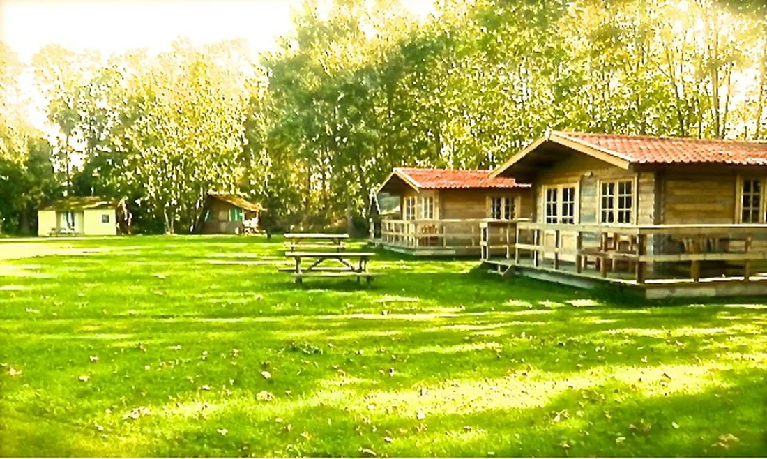 camping-zuiderhorn-warffum-x9msi