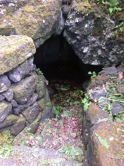 parque-de-campismo-municipal-da-furna-so-roque-iwxd1