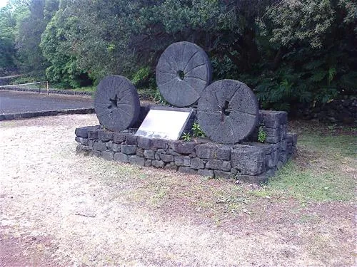 parque-de-campismo-municipal-da-furna-so-roque-kzxqu
