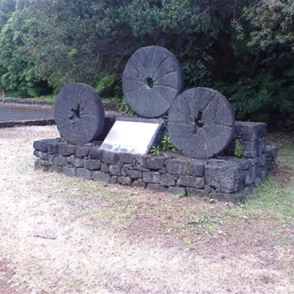 parque-de-campismo-municipal-da-furna-so-roque-kzxqu