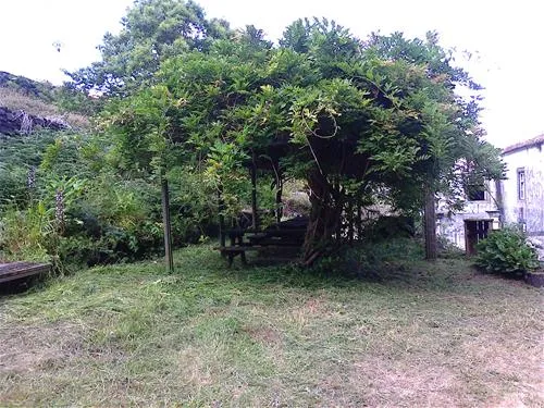 parque-de-campismo-municipal-da-furna-so-roque-uqzbm