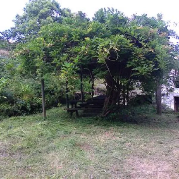 parque-de-campismo-municipal-da-furna-so-roque-uqzbm