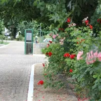 parque-de-camp-do-freixial-penamacor-f5xw2
