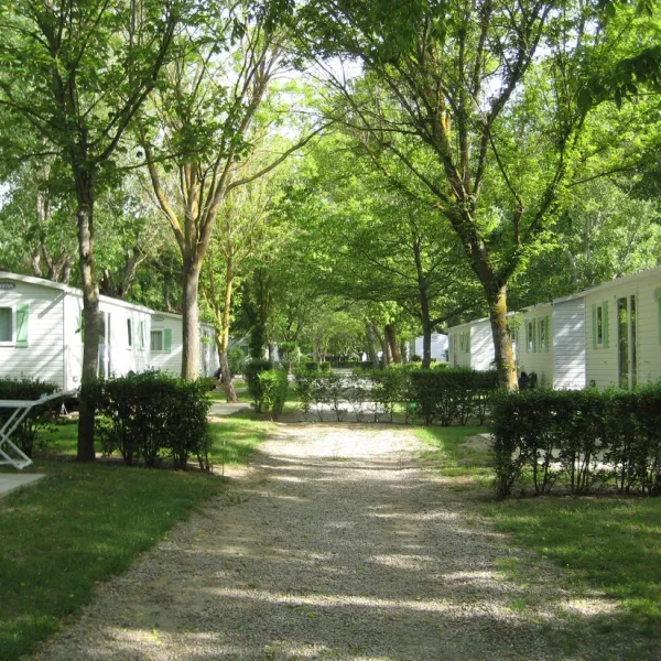 camping-du-viaduc-millau-iuzza