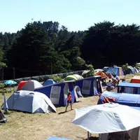Parque de Campismo Montado do Pereiro