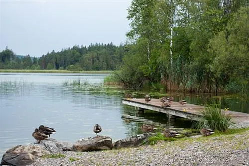 campingplatz-fohnsee-iffeldorf-yuxpl