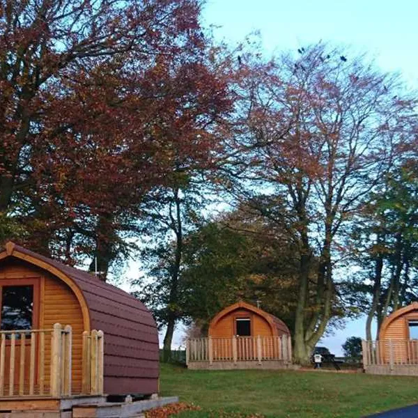 drumshademuir-caravan-park-glamis-hboki
