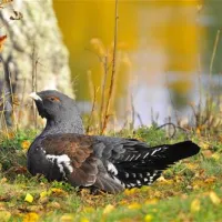 byns-camping-ekshrad-ugk28