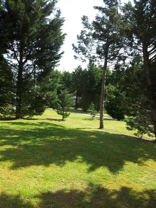 camping-playa-joyel-noja-zpzxs