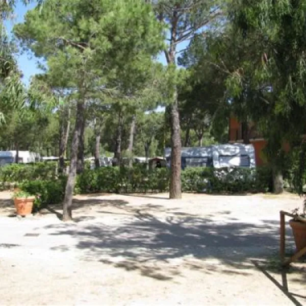campeggio-ville-degli-ulivi-marina-di-campo-o5day