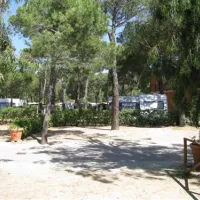 campeggio-ville-degli-ulivi-marina-di-campo-o5day