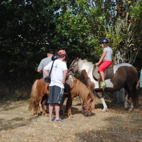 camping-le-rhuys-theix-jt2tt