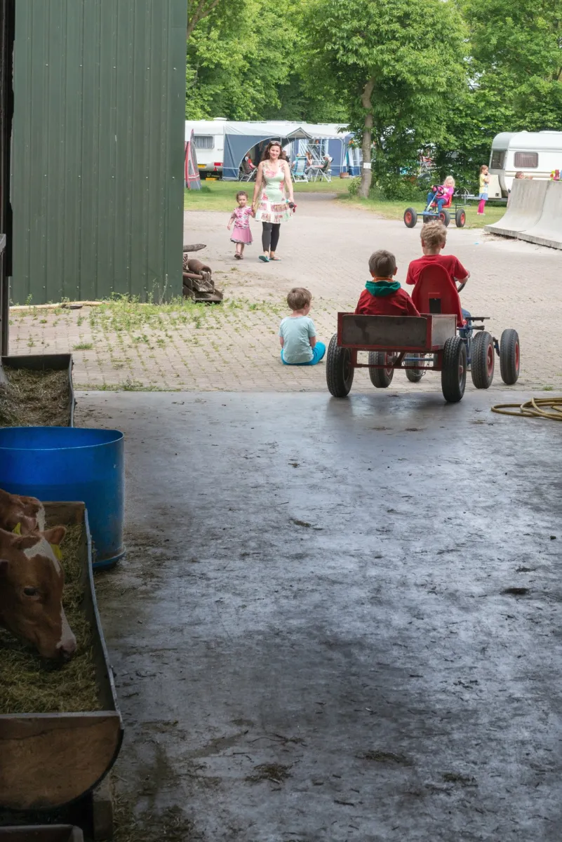 camping-gieben-wilbertoord-xr05y