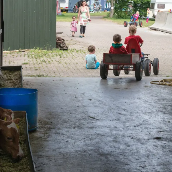 camping-gieben-wilbertoord-xr05y