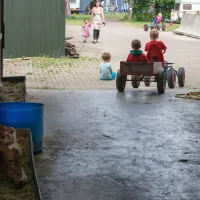 camping-gieben-wilbertoord-xr05y