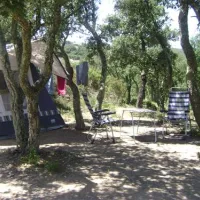 camping-municipal-al-comu-llauro-ask5h