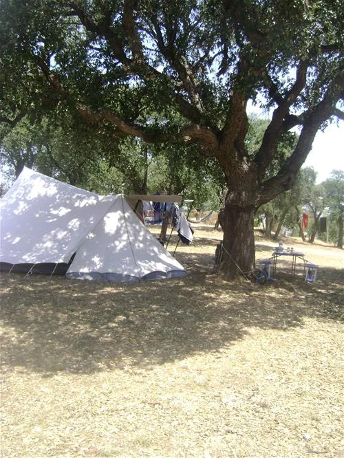 camping-municipal-al-comu-llauro-slj7l