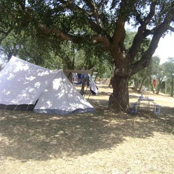 camping-municipal-al-comu-llauro-slj7l