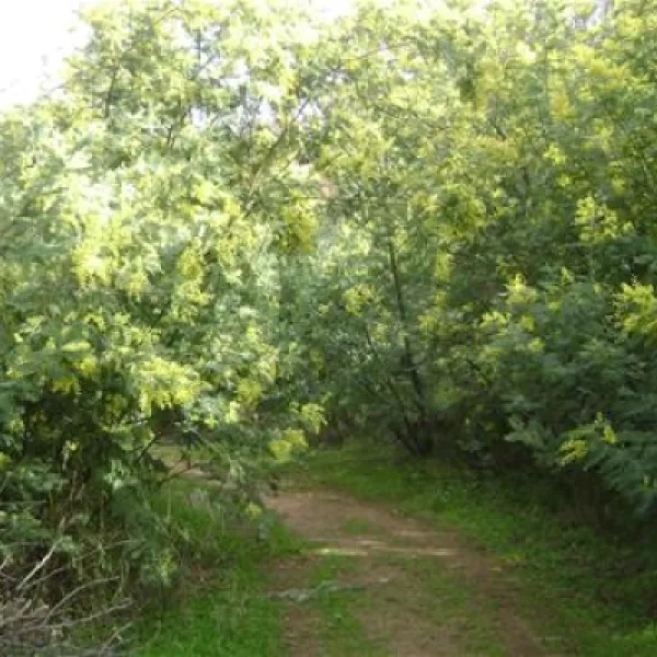 camping-municipal-al-comu-llauro-xghg2