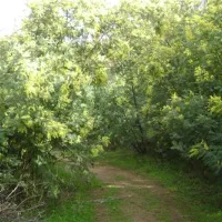 camping-municipal-al-comu-llauro-xghg2