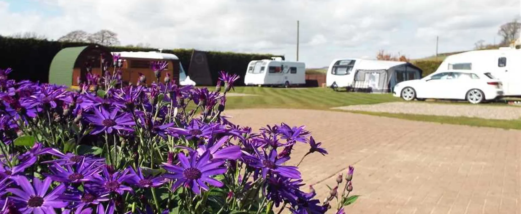 Woodland Gardens Caravan and Camping Site