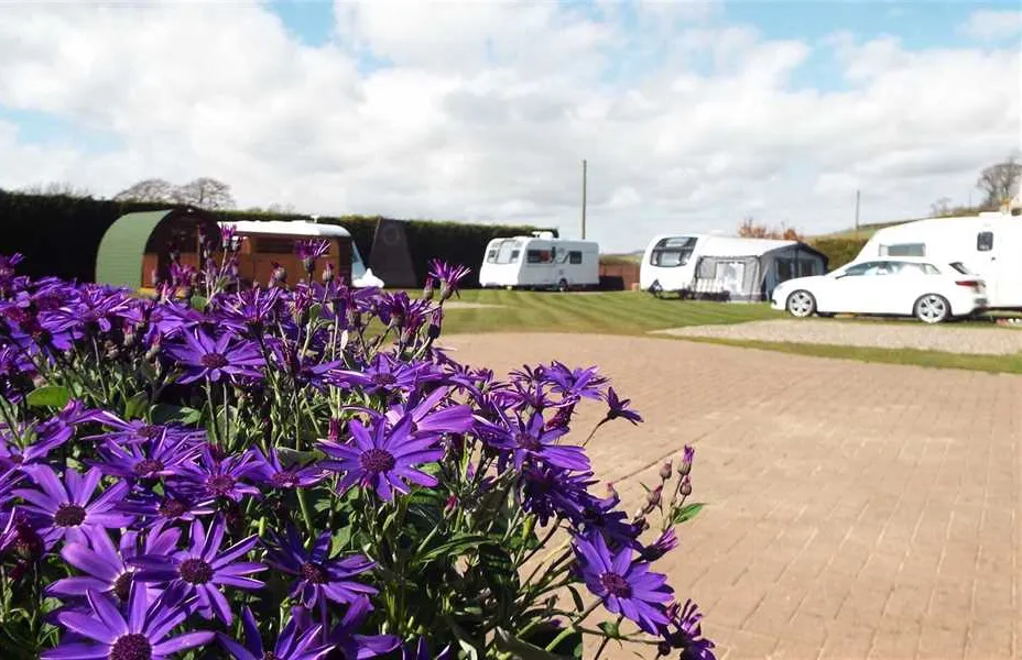 grangemuir-woodland-park-caravan-site-pittenweem-parcf