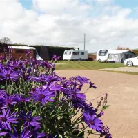 grangemuir-woodland-park-caravan-site-pittenweem-parcf