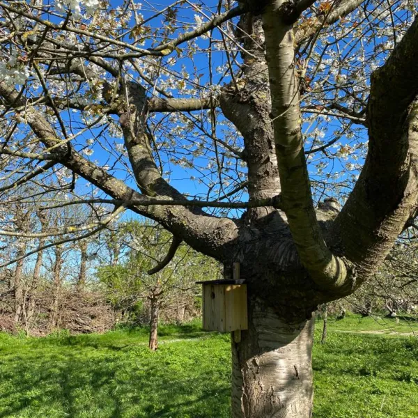 camping-in-het-fruit-zuidoostbeemster-2iurh