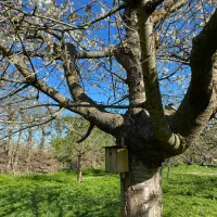 camping-in-het-fruit-zuidoostbeemster-2iurh