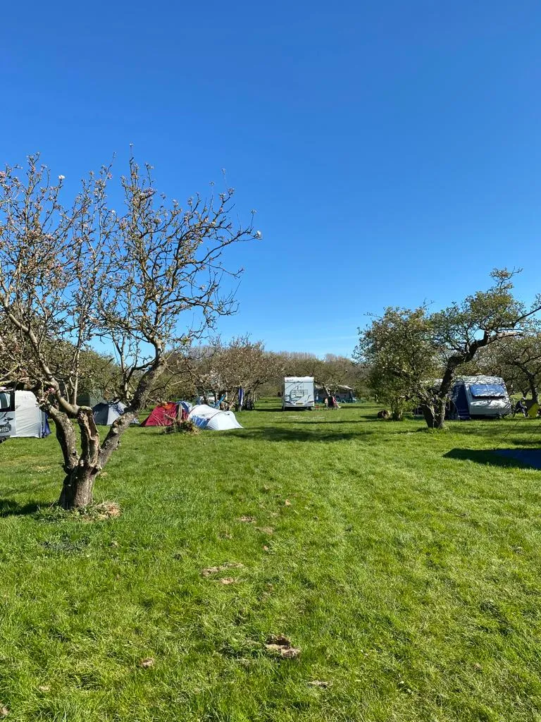 camping-in-het-fruit-zuidoostbeemster-abcz7