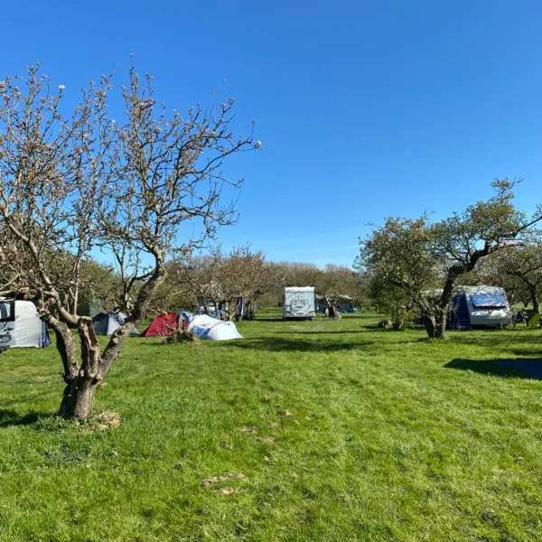 camping-in-het-fruit-zuidoostbeemster-abcz7