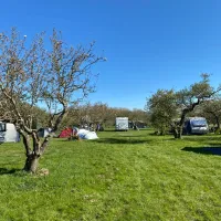 camping-in-het-fruit-zuidoostbeemster-abcz7