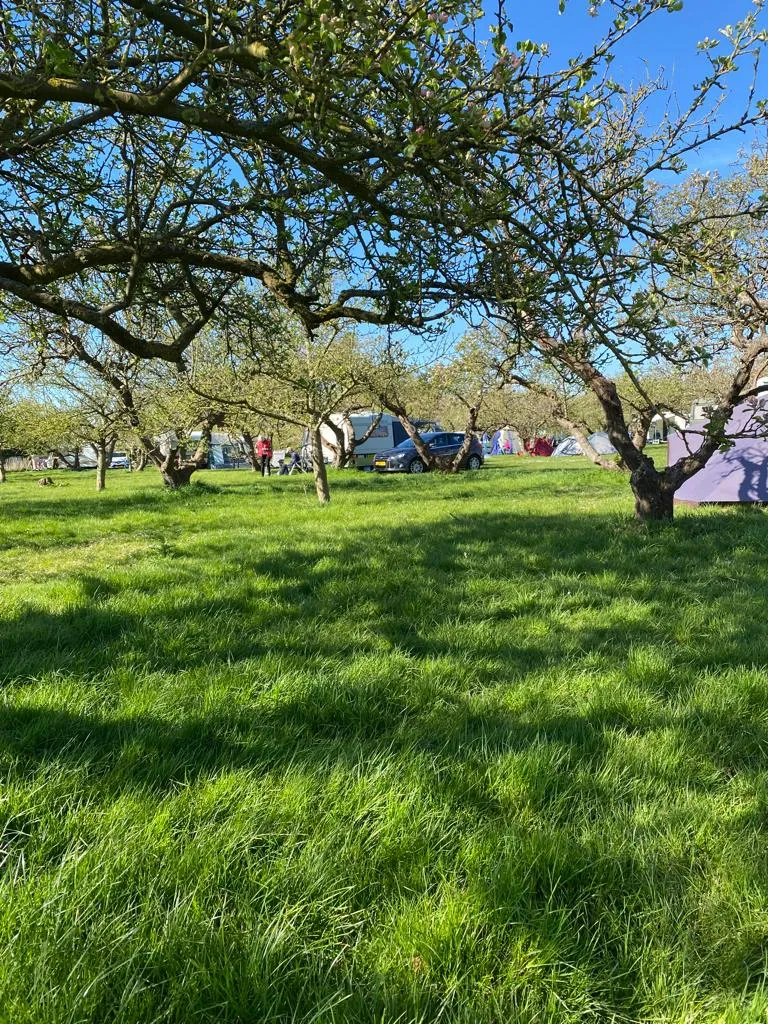 camping-in-het-fruit-zuidoostbeemster-f6gku
