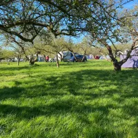 camping-in-het-fruit-zuidoostbeemster-f6gku