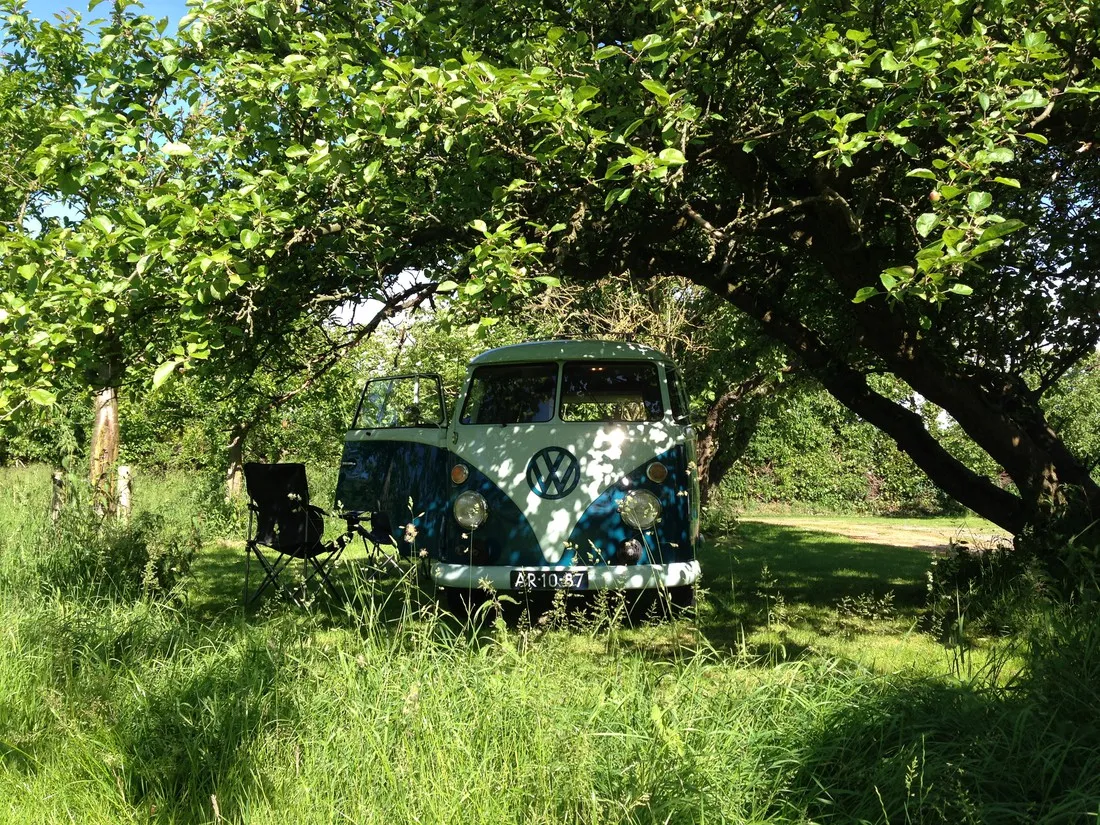 camping-in-het-fruit-zuidoostbeemster-zc69y