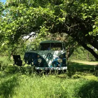 camping-in-het-fruit-zuidoostbeemster-zc69y