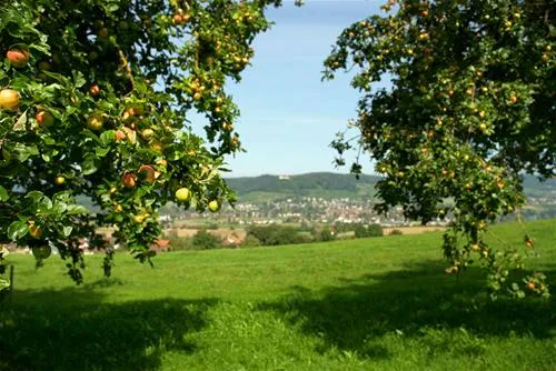 camping-wagenhausen-wagenhausen-nsbqk