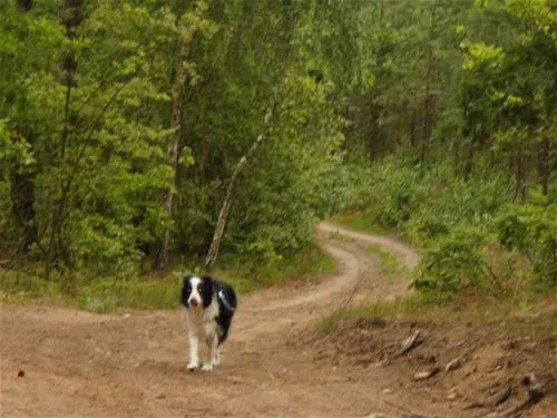 masuren-camping-173-herkus-in-dywity-dywity-q4teg