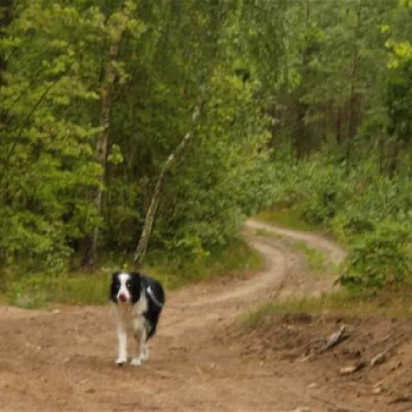 masuren-camping-173-herkus-in-dywity-dywity-q4teg