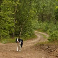 masuren-camping-173-herkus-in-dywity-dywity-q4teg
