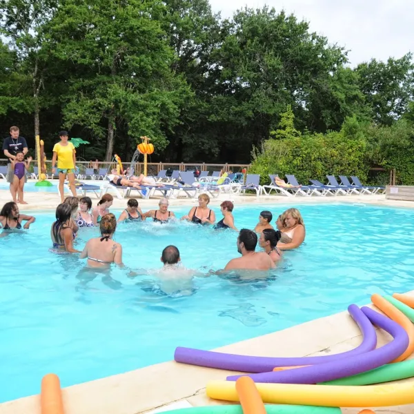 camping-les-acacias-vensac-medqv
