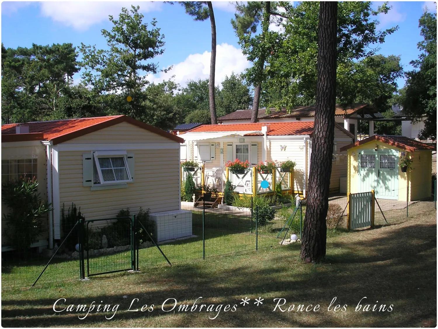 camping-sous-les-pins-ronce-les-bains-lqaho